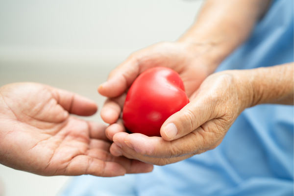Collagen and the immune system – how are they connected? – Celloptimum