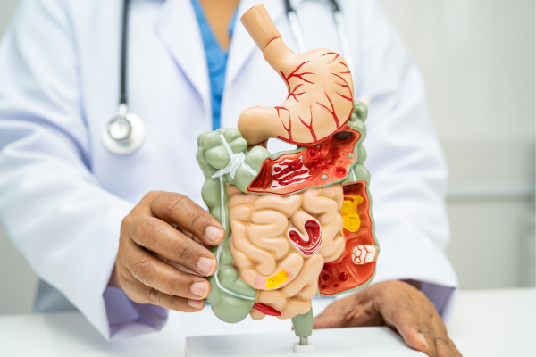 Kollagen och tarmhälsa Nyckeln till välmående