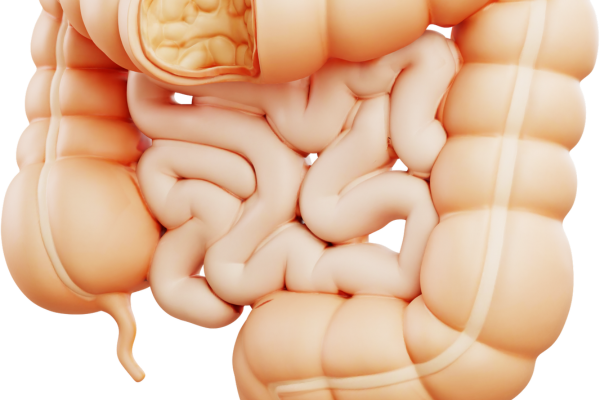 Kollagenets roll för din tarmhälsa